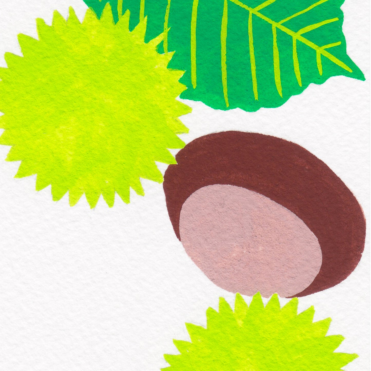 Horse Chestnut Print