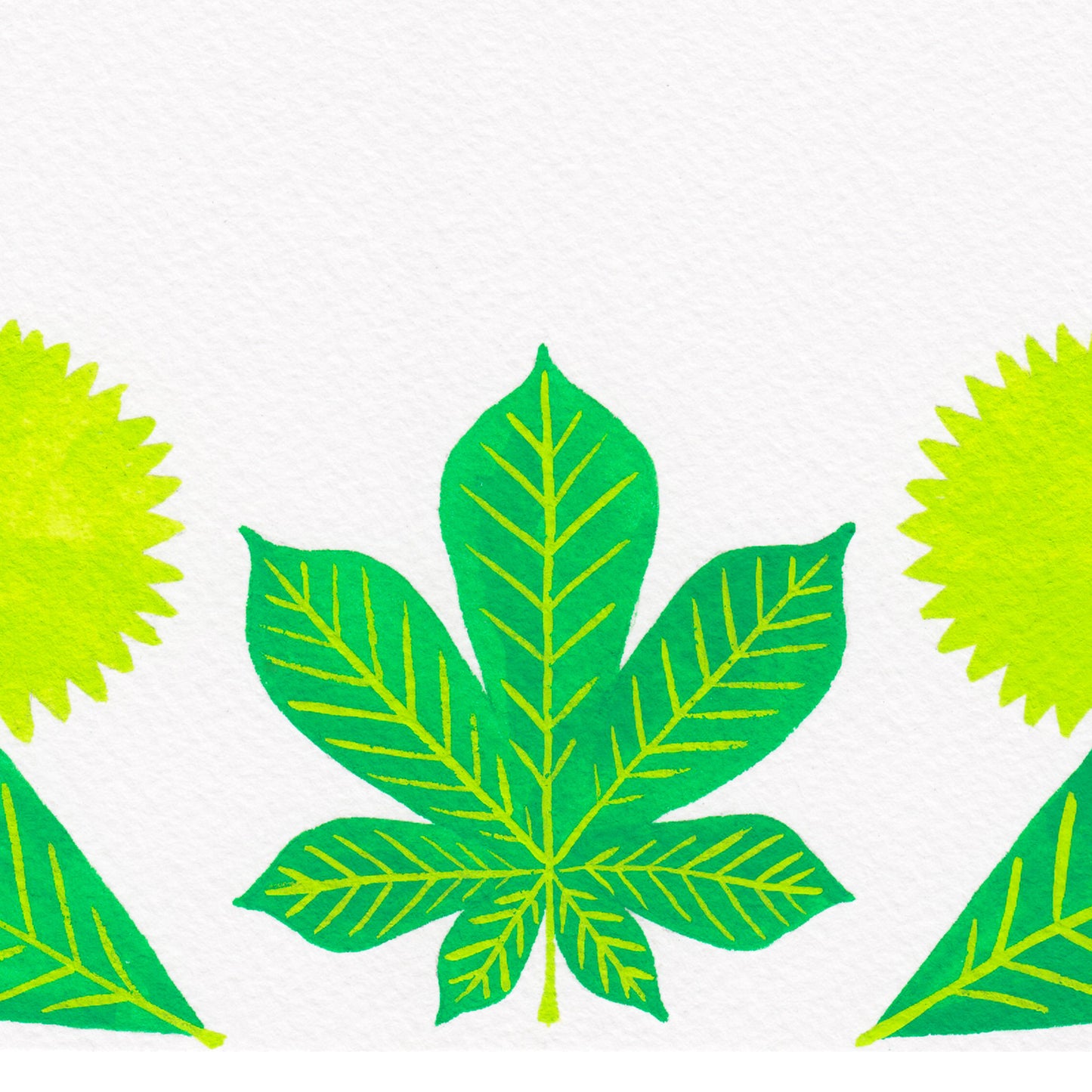 Horse Chestnut Print